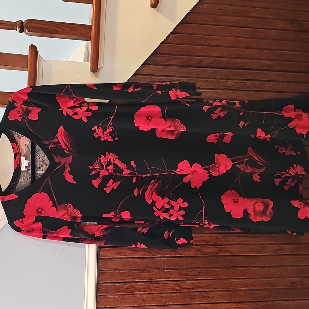 NBW Beautiful XS LuLaRoe Emily Dress